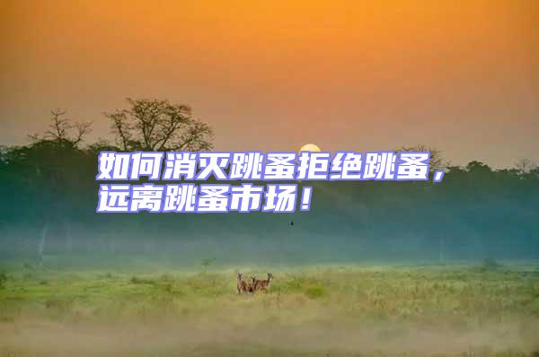 如何消滅跳蚤拒絕跳蚤,遠離跳蚤市場!