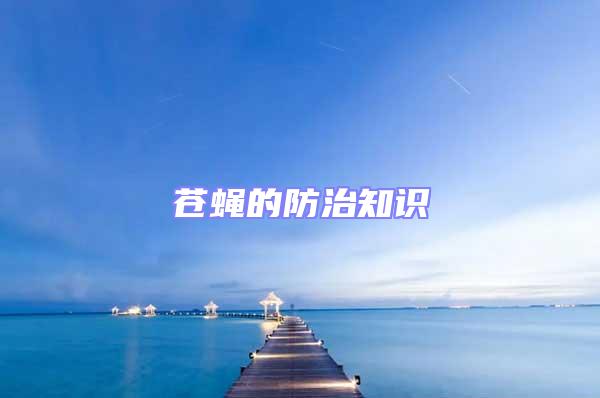 蒼蠅的防治知識(shí)