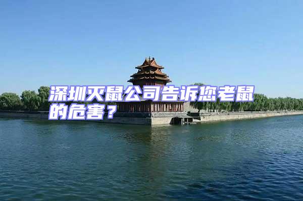 深圳滅鼠公司告訴您老鼠的危害?