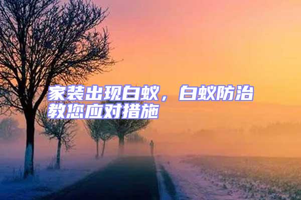 家裝出現白蟻,白蟻防治教您應對措施