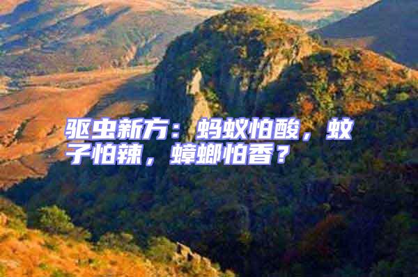 驅蟲新方：螞蟻怕酸，蚊子怕辣，蟑螂怕香？