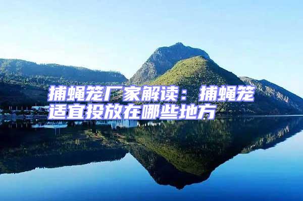 捕蠅籠廠家解讀:捕蠅籠適宜投放在哪些地方