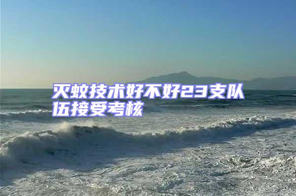 滅蚊技術(shù)好不好23支隊(duì)伍接受考核