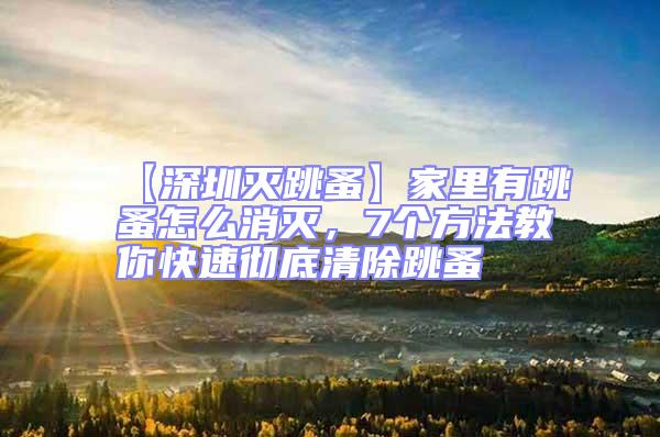 【深圳滅跳蚤】家里有跳蚤怎么消滅,7個方法教你快速徹底清除跳蚤