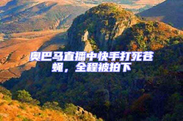 奧巴馬直播中快手打死蒼蠅,全程被拍下