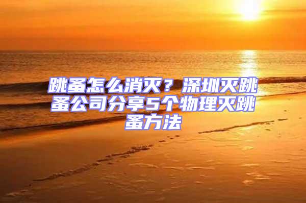 跳蚤怎么消滅?深圳滅跳蚤公司分享5個(gè)物理滅跳蚤方法