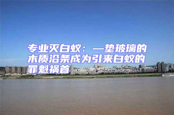 專業(yè)滅白蟻：—墊玻璃的木質(zhì)沿條成為引來白蟻的罪魁禍首
