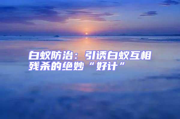 白蟻防治：引誘白蟻互相殘殺的絕妙“好計”