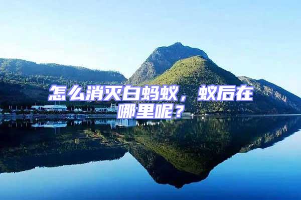 怎么消滅白螞蟻，蟻后在哪里呢？