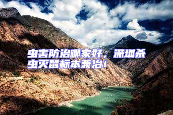 蟲害防治哪家好,深圳殺蟲滅鼠標本兼治!