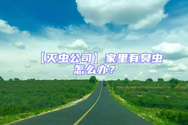 【滅蟲公司】家里有臭蟲怎么辦？