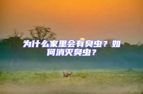 為什么家里會有臭蟲？如何消滅臭蟲？