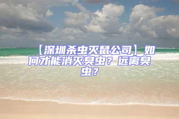 【深圳殺蟲滅鼠公司】如何才能消滅臭蟲？遠(yuǎn)離臭蟲？