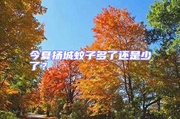 今夏揚城蚊子多了還是少了？