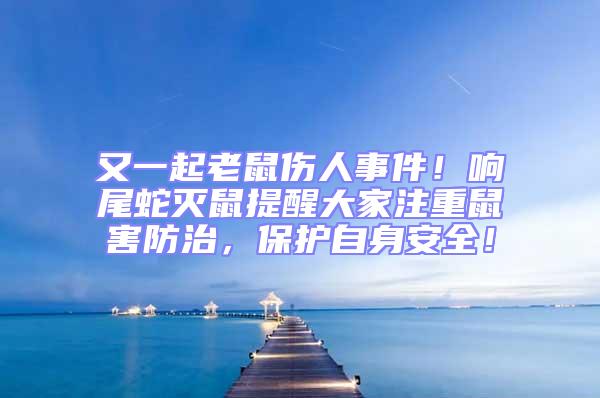 又一起老鼠傷人事件!響尾蛇滅鼠提醒大家注重鼠害防治,保護(hù)自身安全!