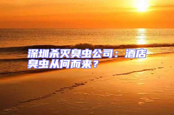 深圳殺滅臭蟲公司：酒店臭蟲從何而來？