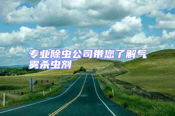 專業(yè)除蟲(chóng)公司帶您了解氣霧殺蟲(chóng)劑