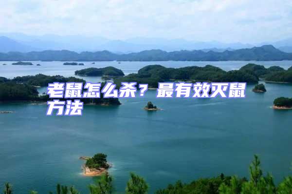 老鼠怎么殺？最有效滅鼠方法