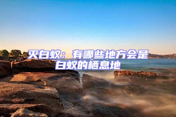 滅白蟻:有哪些地方會(huì)是白蟻的棲息地