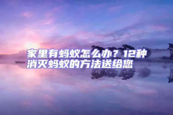 家里有螞蟻怎么辦？12種消滅螞蟻的方法送給您