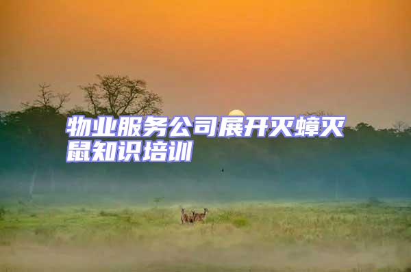 物業(yè)服務公司展開滅蟑滅鼠知識培訓