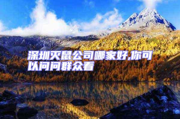 深圳滅鼠公司哪家好,你可以問(wèn)問(wèn)群眾看