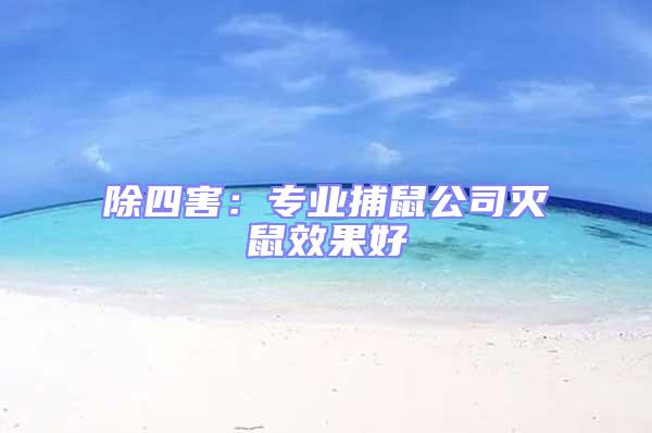 除四害：專業捕鼠公司滅鼠效果好