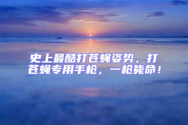 史上最酷打蒼蠅姿勢,打蒼蠅專用手槍,一槍斃命!