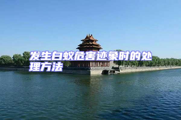 發生白蟻危害跡象時的處理方法