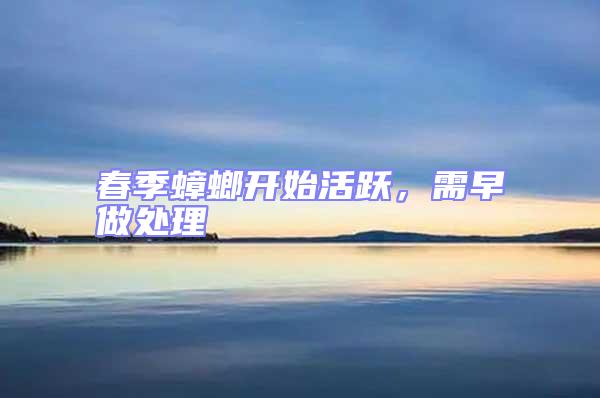 春季蟑螂開始活躍，需早做處理