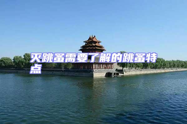 滅跳蚤需要了解的跳蚤特點