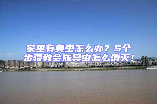 家里有臭蟲(chóng)怎么辦？5個(gè)步驟教會(huì)你臭蟲(chóng)怎么消滅！
