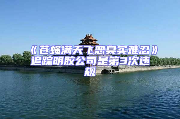 《蒼蠅滿天飛惡臭實難忍》追蹤明膠公司是第3次違規(guī)