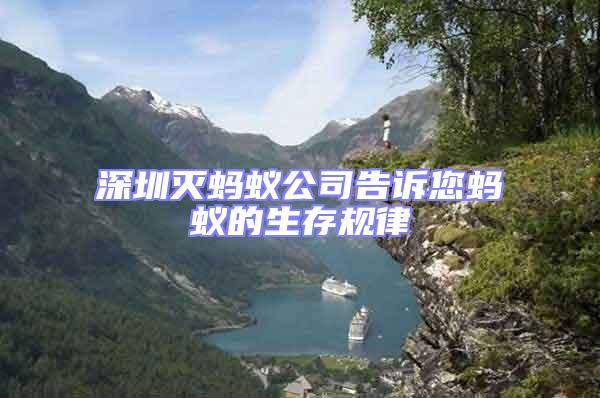 深圳滅螞蟻公司告訴您螞蟻的生存規律