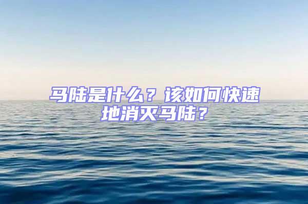 馬陸是什么？該如何快速地消滅馬陸？