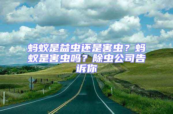 螞蟻是益蟲還是害蟲？螞蟻是害蟲嗎？除蟲公司告訴你