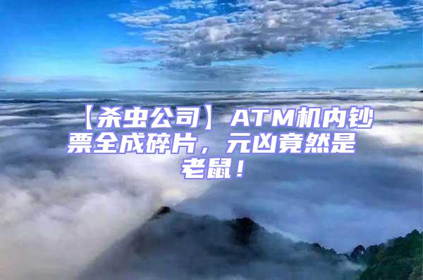 【殺蟲公司】ATM機內(nèi)鈔票全成碎片,元兇竟然是老鼠!