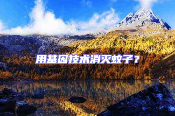 用基因技術消滅蚊子？