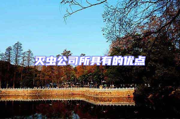 滅蟲(chóng)公司所具有的優(yōu)點(diǎn)