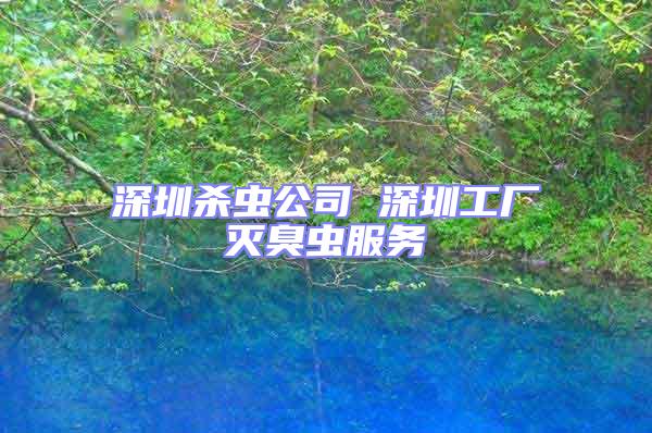 深圳殺蟲(chóng)公司 深圳工廠滅臭蟲(chóng)服務(wù)