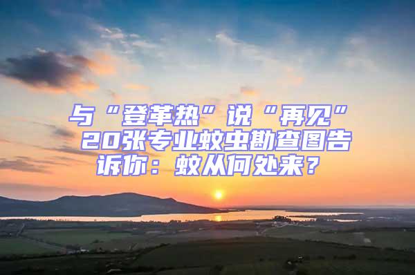 與“登革熱”說“再見” 20張專業蚊蟲勘查圖告訴你：蚊從何處來？