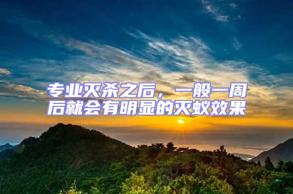 專業(yè)滅殺之后，一般一周后就會有明顯的滅蟻效果