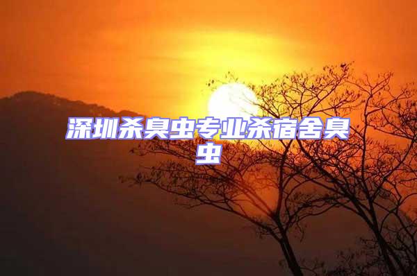 深圳殺臭蟲(chóng)專業(yè)殺宿舍臭蟲(chóng)