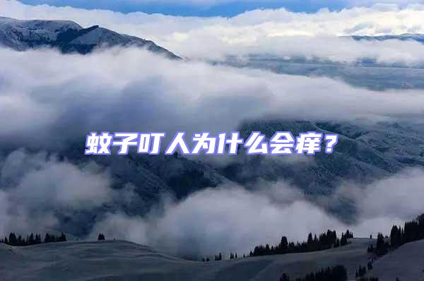 蚊子叮人為什么會癢？