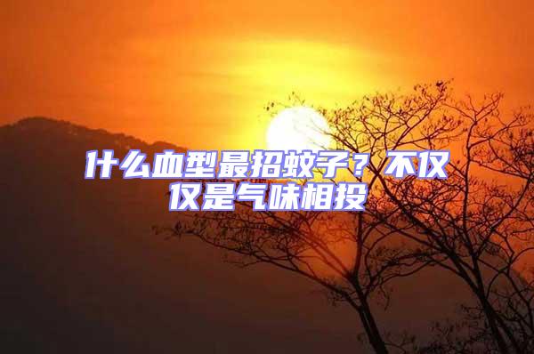 什么血型最招蚊子？不僅僅是氣味相投