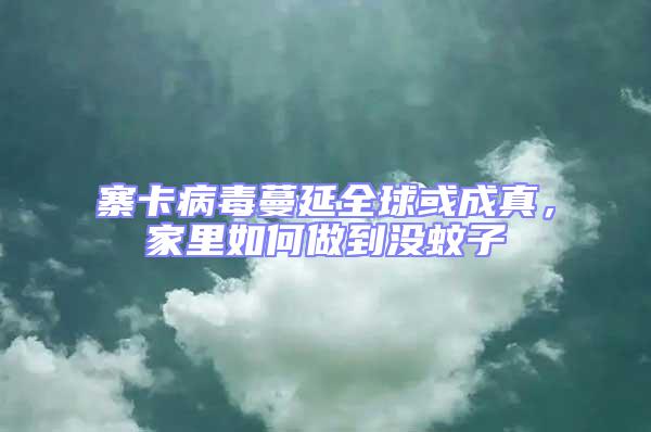 寨卡病毒蔓延全球或成真，家里如何做到沒蚊子