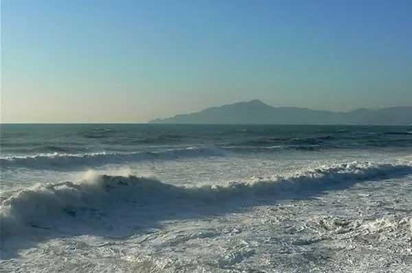 老鼠怕什么東西？怕什么味道和聲音？