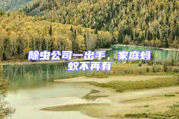 除蟲公司一出手，家庭螞蟻不再有