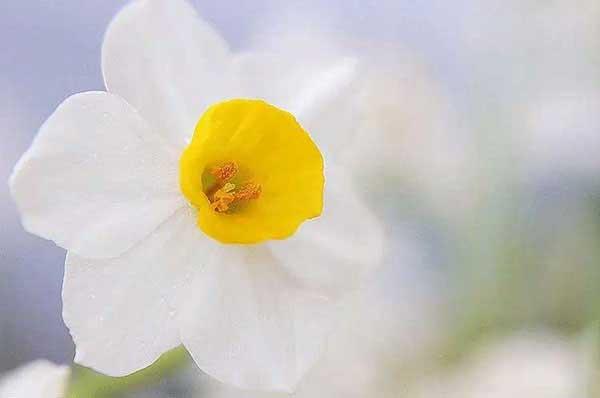 除蟲公司在夏季如何為工廠做好蟲害防控？