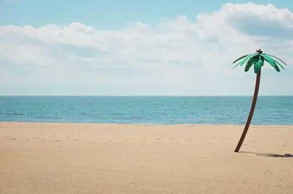 深圳白蟻防治：預防為主、防治結合、綜合治理